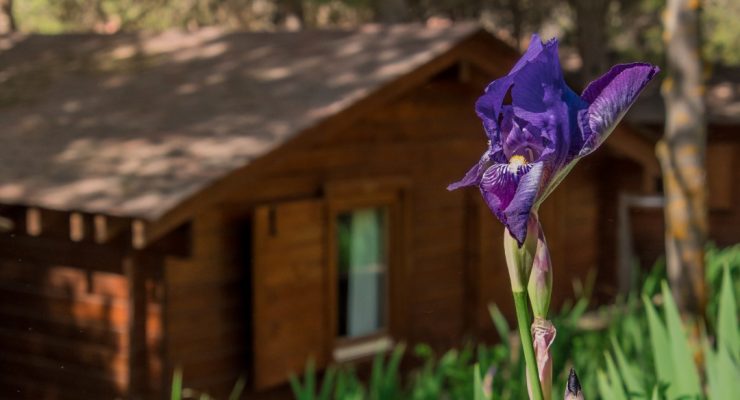 camping-albarracin-bungalows-6p-24 (1)