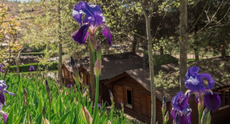 camping-albarracin-bungalows-6p-24 (20)