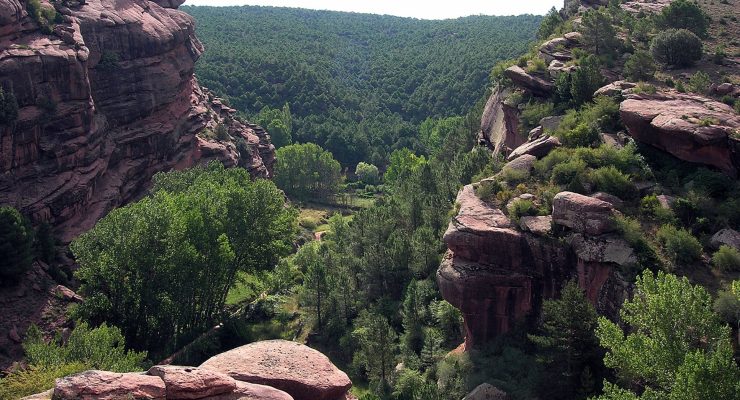 Paisaje protegido de los Pinares de Rodeno - Albarracin (Teruel)
